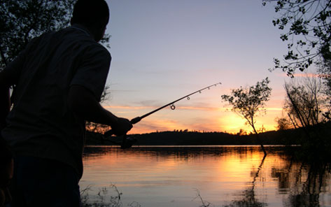An angler in silhouette casting from the shoreline at Collins Lake as the sun sets behind the foothills.